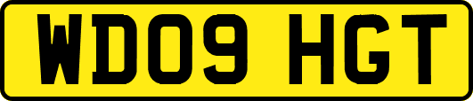 WD09HGT