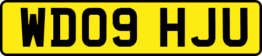 WD09HJU
