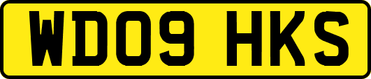 WD09HKS