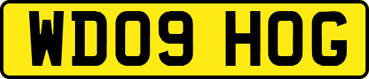WD09HOG
