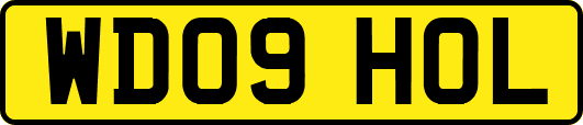 WD09HOL