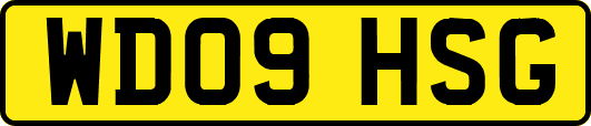 WD09HSG
