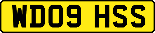 WD09HSS