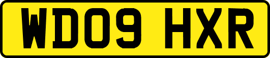WD09HXR