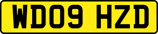 WD09HZD