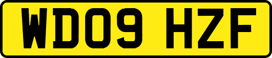 WD09HZF