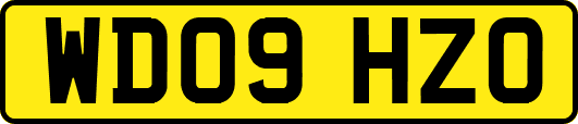 WD09HZO