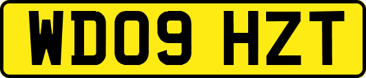 WD09HZT