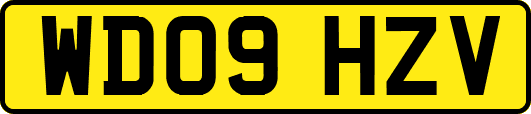 WD09HZV