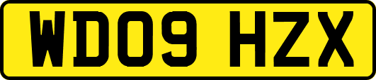 WD09HZX