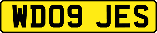 WD09JES