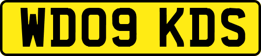 WD09KDS