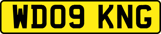 WD09KNG