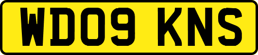 WD09KNS