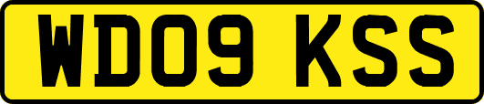 WD09KSS
