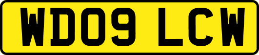 WD09LCW