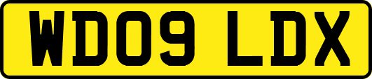 WD09LDX