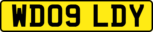 WD09LDY