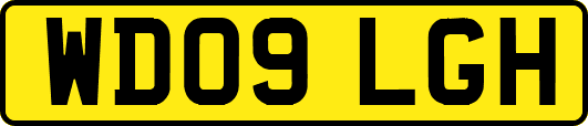WD09LGH