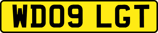 WD09LGT