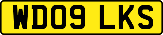 WD09LKS