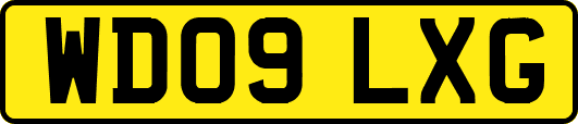 WD09LXG