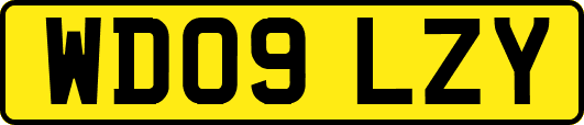WD09LZY
