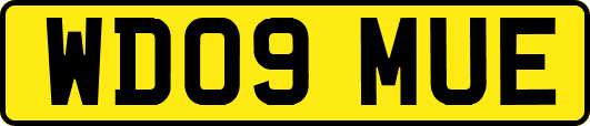 WD09MUE