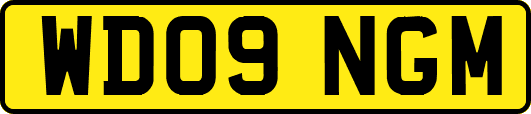 WD09NGM