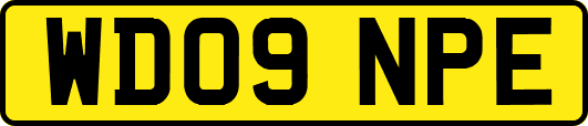 WD09NPE
