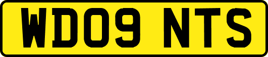 WD09NTS