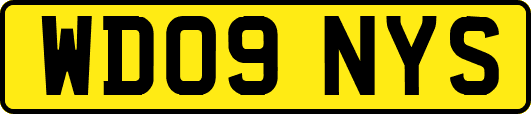 WD09NYS