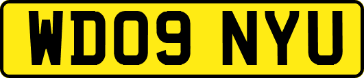 WD09NYU