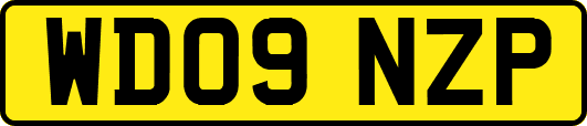 WD09NZP