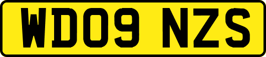 WD09NZS