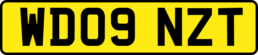 WD09NZT