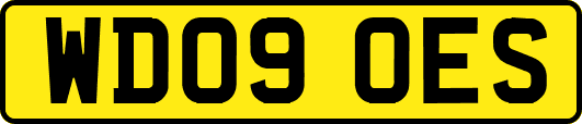 WD09OES