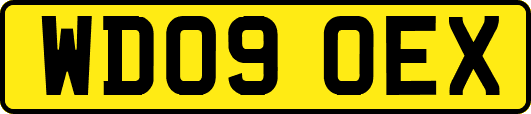 WD09OEX