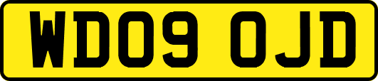 WD09OJD