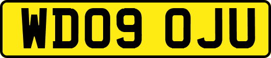 WD09OJU