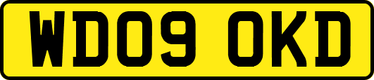 WD09OKD