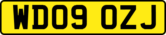 WD09OZJ