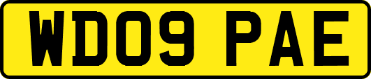 WD09PAE