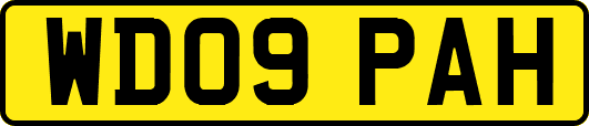 WD09PAH