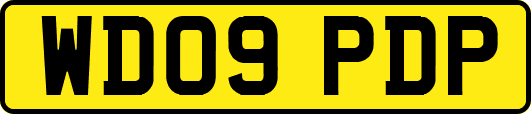 WD09PDP