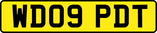 WD09PDT