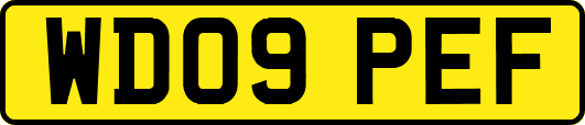 WD09PEF