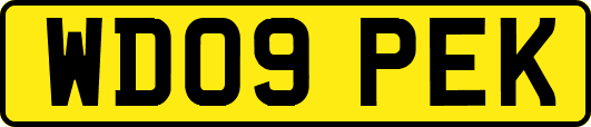 WD09PEK