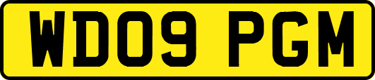 WD09PGM
