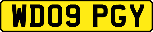 WD09PGY